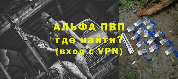 прущие грибы Сим