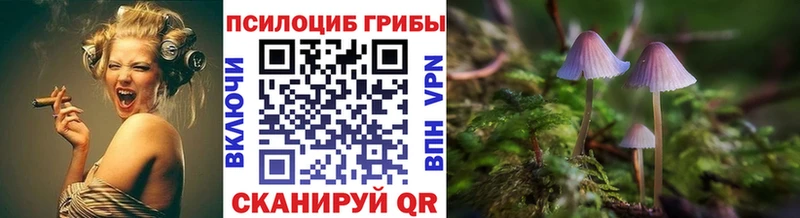 даркнет сайт  Томск  Псилоцибиновые грибы ЛСД 