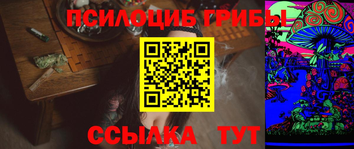Псилоцибиновые грибы Psilocybe  Галлюциногенные грибы мицелий  Россия  где найти   Вход с VPN 